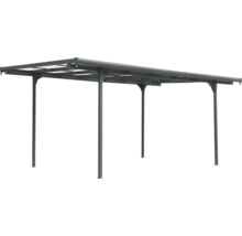 Vrijstaande terrasoverkapping met transparant dak