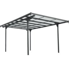 Paviljoen met transparant dak en metalen frame