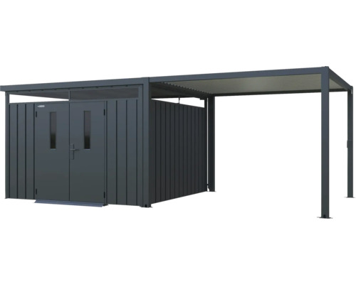 Metalen gereedschapshuis met dubbele deur en overkapping