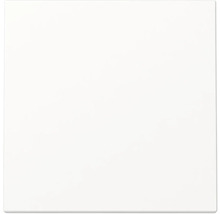 Witte bouwplaat