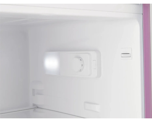 Interieur van een koelkast met temperatuurregelaar