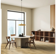 Lichte eetkamer met eettafel, stoelen, hanglamp en boekenplank