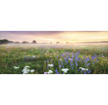 Ochtendlandschap met bloemenweide onder mist