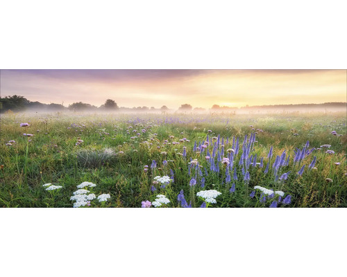 Ochtendlandschap met bloemenweide onder mist