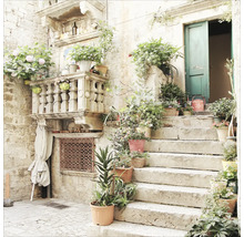 Steen trap met diverse planten in potten, balustrade en open groene deur