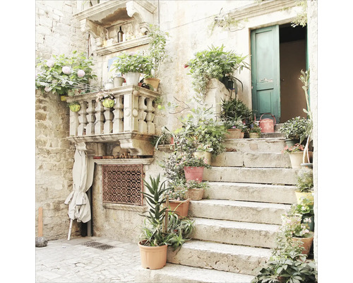 Steen trap met diverse planten in potten, balustrade en open groene deur