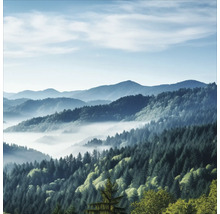 Boslandschap met bergen en mist