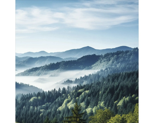 PURE LIVING Schilderij glas Uitzicht Over Het Bos 50x50 cm Boslandschap met bergen en mist