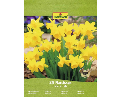 FLORASELF Bloembollen Narcis Narcissus 30 Stuks