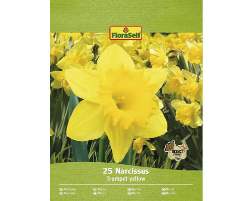 FLORASELF Bloembollen Narcis Narcissus 15 Stuks