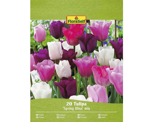 FLORASELF Bloembollen Tulpen Tulipa 20 Stuks