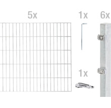 ALBERTS Dubbelstaafmat set 6/5/6 1000 x 100 cm thermisch verzinkt