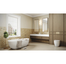 Lichte badkamer met bad, wastafels, spiegels en toilet