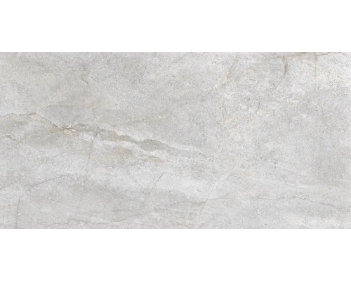 Wand- en vloertegel Wells lichtgrijs 60x120 cm gerectificeerd
