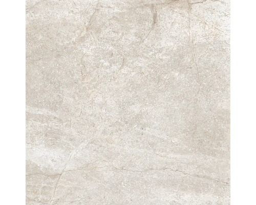 Wand- en vloertegel Wells donker beige 60x60 cm gerectificeerd