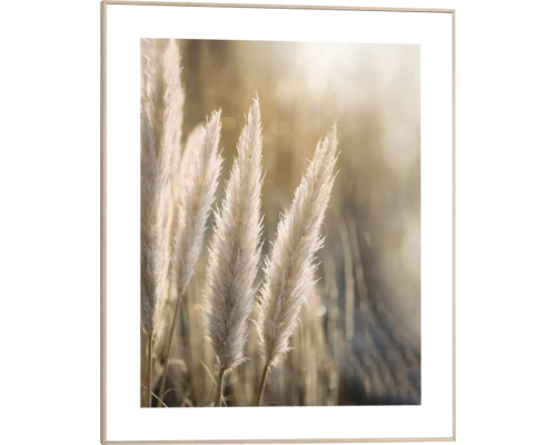 REINDERS Schilderij met lijst 40x50 cm Sunset Grasses