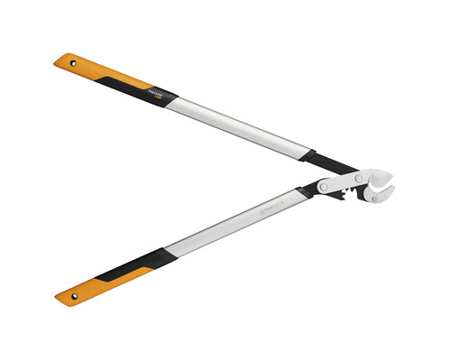 Takkenschaar met lange steel voor het snoeien van bomen en struiken