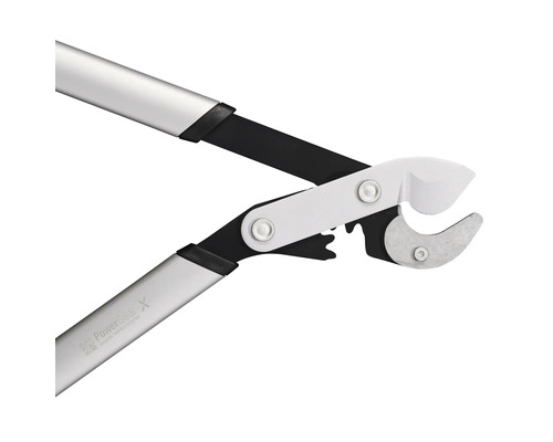 Takkenschaar met telescopische steel en snijkop