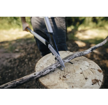 Een persoon snoeit een tak met een takkenschaar op een boomstronk