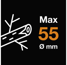 Maximale houtdikte 55 millimeter