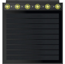 Zwarte buitenlamp met ledverlichting