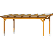 Houten carport met transparante dakpanelen