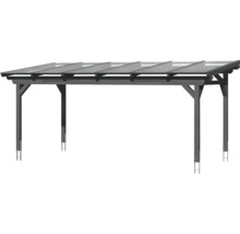 Houten carport met transparant dak