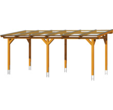 Houten carport met transparant dak