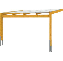 Houten carport met transparant dak