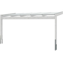 Houten carport met transparant dak