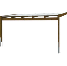 Houten carport met transparant dak