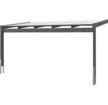 Houten carport met transparant dak