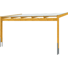 Houten carport met transparant dak