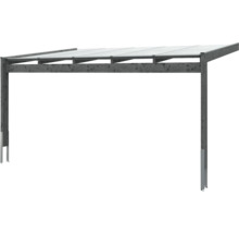 Houten carport met transparant dak
