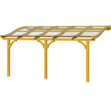 Houten carport met transparant dak