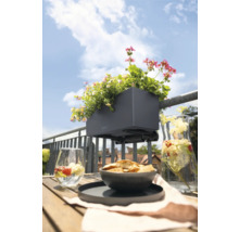 Balkonscène met bloembak en zomerse decoratie op houten tafel