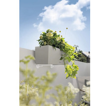 Grijze plantenbak met beugel en beplanting aan een muur.