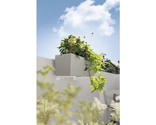 Grijze plantenbak met beugel en beplanting aan een muur.