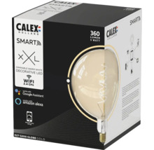 CALEX Smart LED filament lamp XXL E27/5W warmwit goud