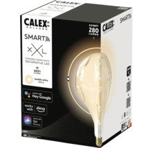 CALEX Smart LED filament lamp XXL Organic Evo E27/6W warmwit goud