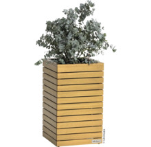 Houten plantenbak met eucalyptus