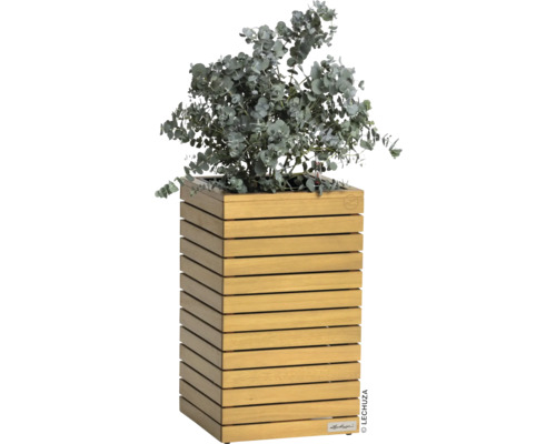 Houten plantenbak met eucalyptus
