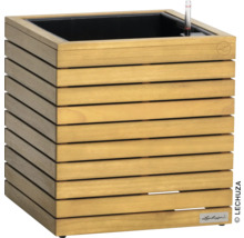 Houten plantenbak met irrigatiesysteem en waterniveau-indicator