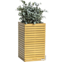 Houten plantenbak met eucalyptusplant