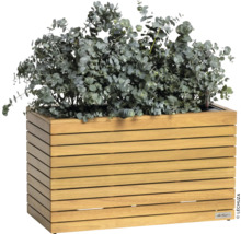 Houten plantenbak met eucalyptusplant
