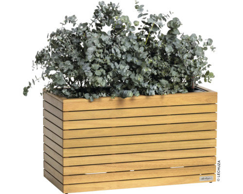 Houten plantenbak met eucalyptusplant