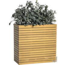 Houten plantenbak met eucalyptusplant