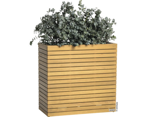 Houten plantenbak met eucalyptusplant