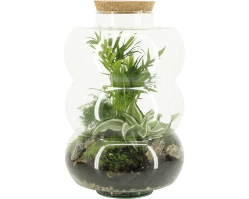FLORASELF Flessentuin Elsa potmaat Ø 21 cm H 35 cm Terrarium met planten en kurkdeksel