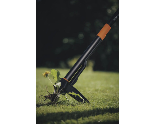 Onkruidsteker in gebruik, verwijdert een enkele bloem uit het gazon